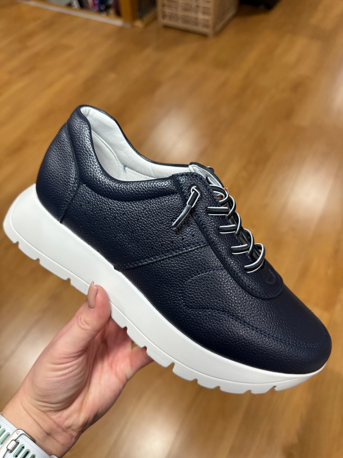 Zanni & Co Kamoeni Cobalt Trainer