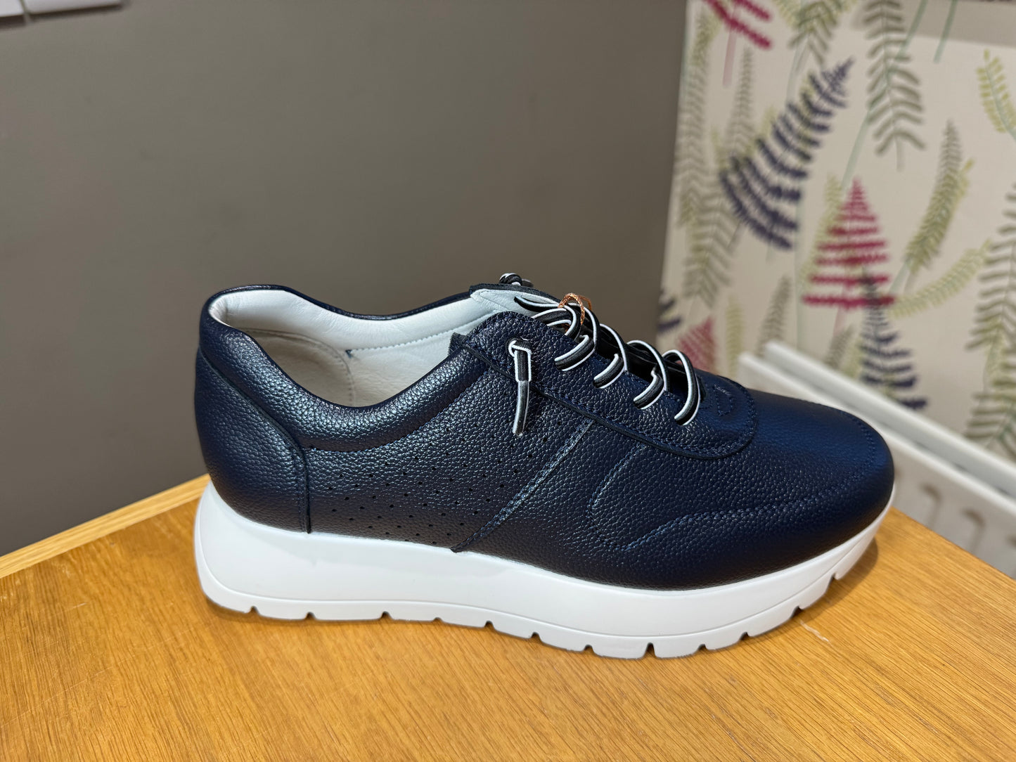 Zanni & Co Kamoeni Cobalt Trainer
