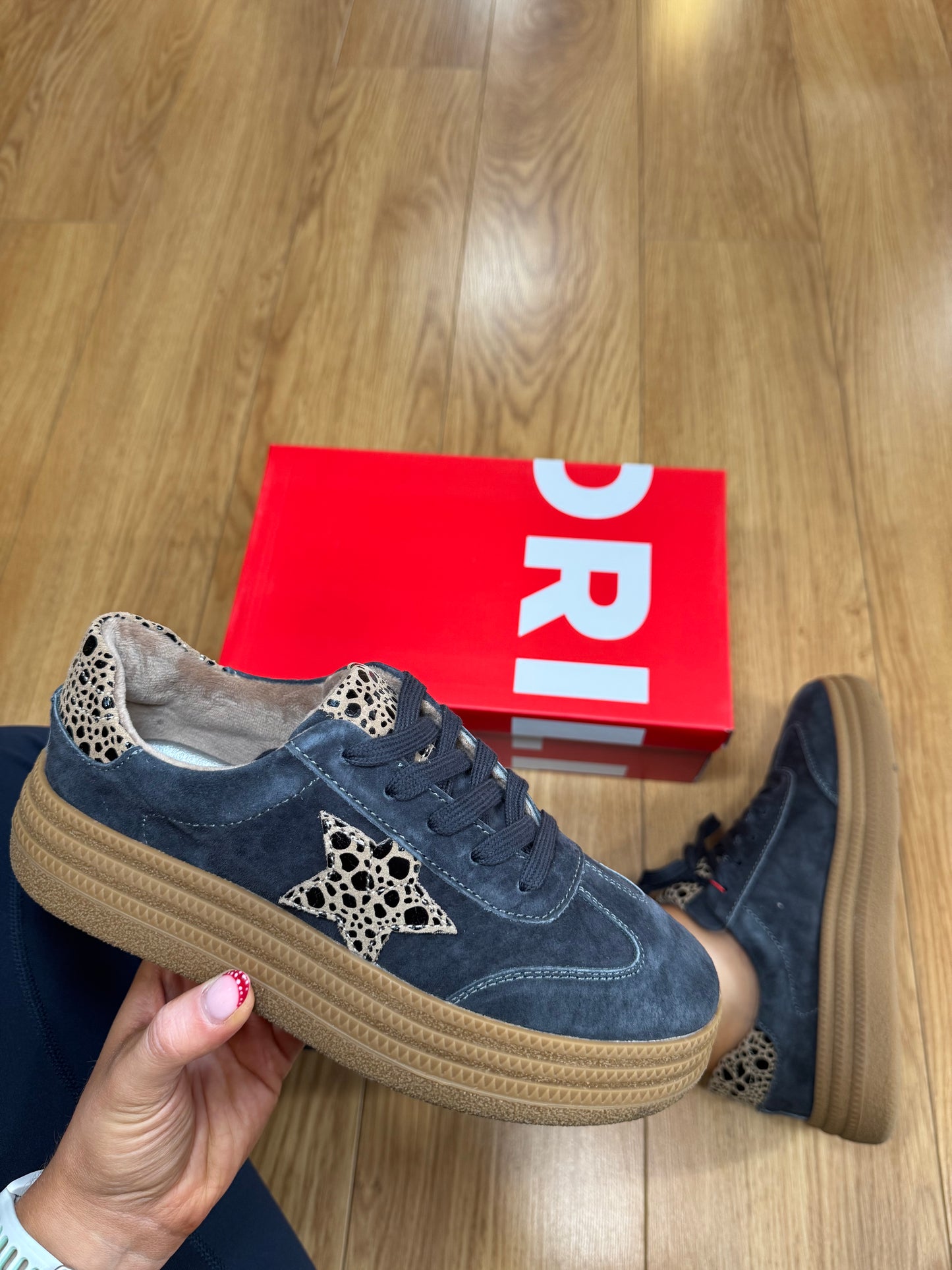 Drilleys Forty Two Thunder Cheetah Trainer