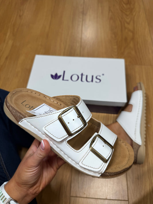 Lotus Trento White Slider