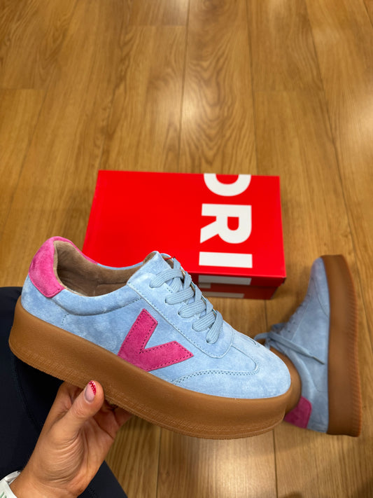 Drilleys Eighty Four Blue Bell Trainer