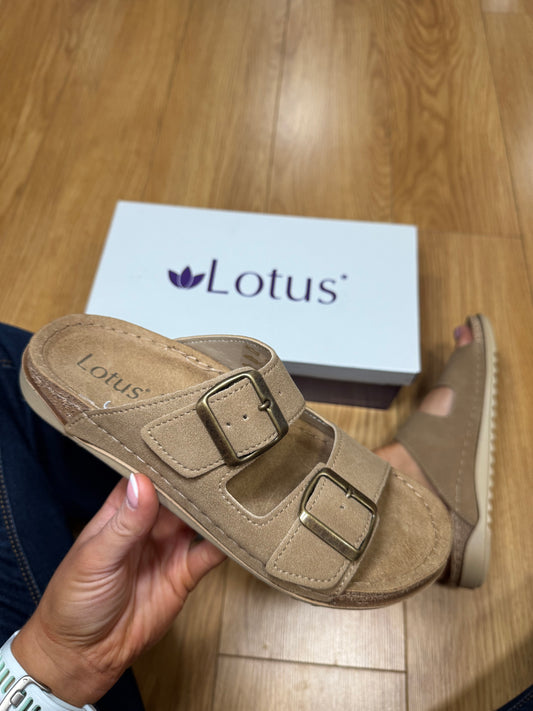 Lotus Trento Natural Slider