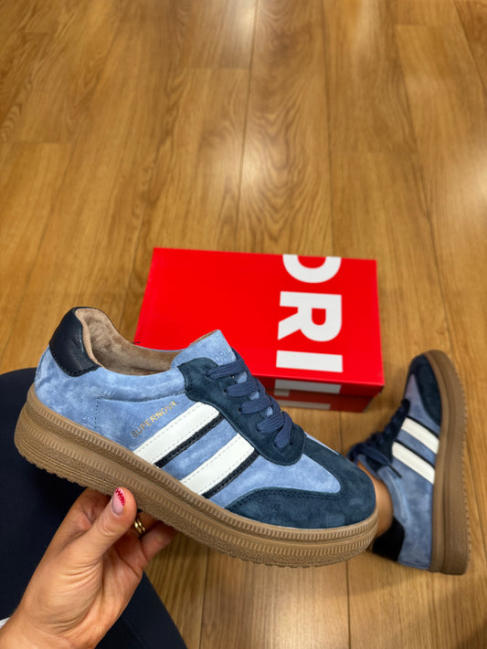 Drilleys Eighty Three Pacific Blue Trainer