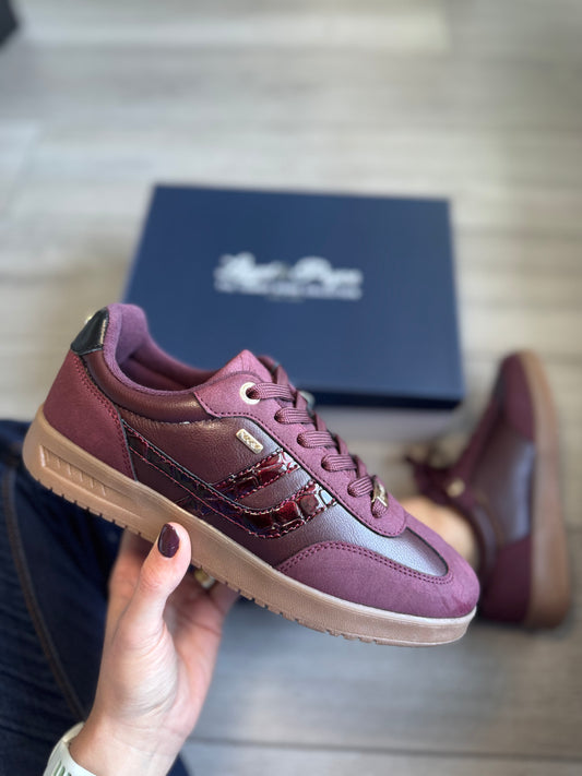 Lloyd & Pryce Borland Cabernet Trainer