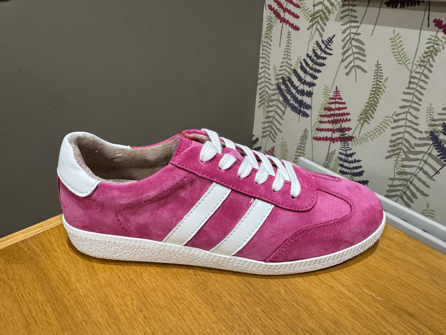 Drilleys Fifty Three Taffy Trainer