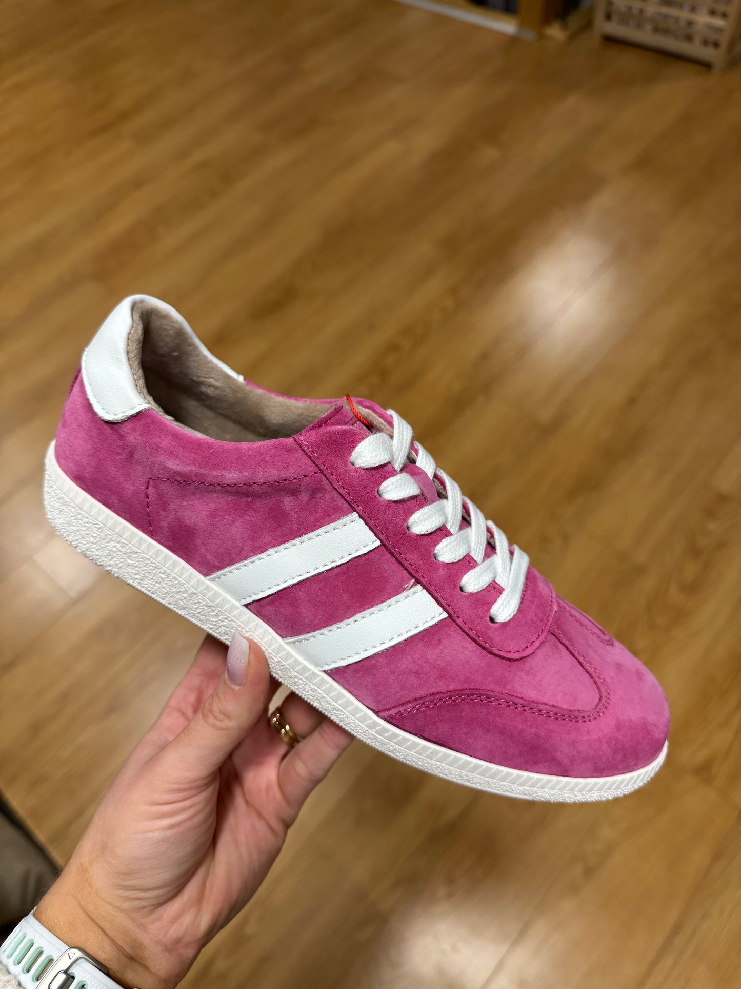 Drilleys Fifty Three Taffy Trainer