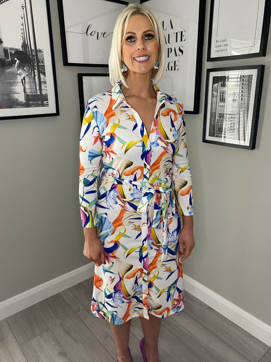 Anonymous Multi Shirt Dress